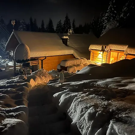 Swierkowa Oaza *