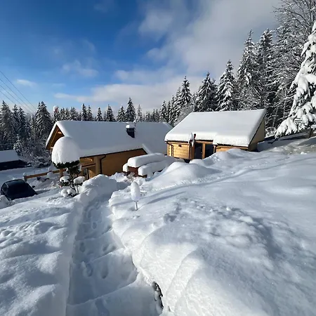 Villa Swierkowa Oaza *