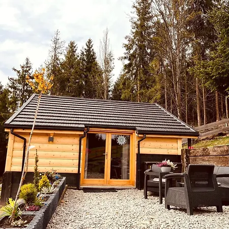 Swierkowa Oaza Villa *